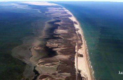 South Padre Stayz - Foto 77