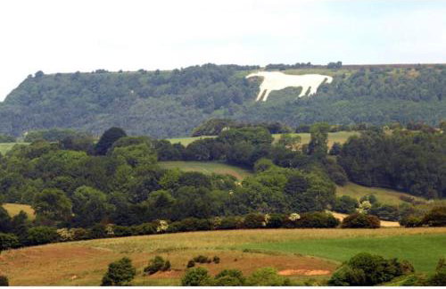 Granary cottage with HOT TUB - Foto 24