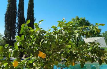 Fornace del Conte - Foto 73