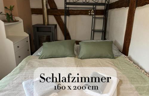 Altstadt & See & Garten Haustiere willkommen - Foto 5