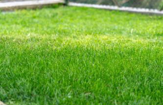 Casa Douro River - Foto 38