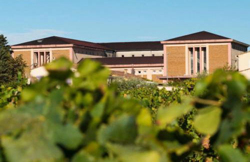 Rêves d'Ô en Camargue, clim réversible, parc naturel - Photo 20