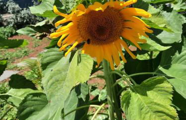 Dr. Cabral Barreto - Foto 17