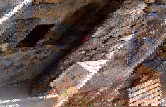 Agriturismo Zibibbodoro - Foto 17