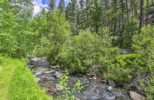 Grizzly Gulch Cabin Historic - Foto 17
