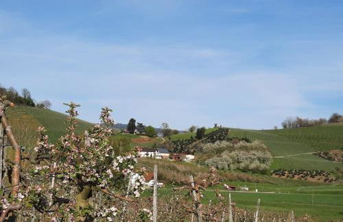 Ferienwohnung am Weinberg - Foto 13