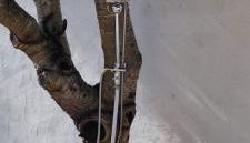 Villa Jana - Foto 3, Garden view