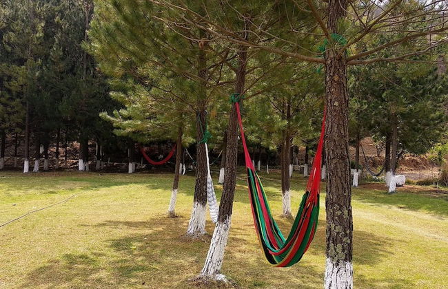 Rancho San Miguel - Foto 12