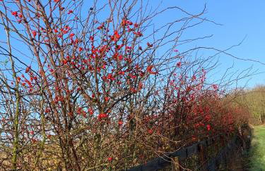 Entire flat 2 to 4 pers 1 bed 1 bath disabled access for limited disability - Foto 25