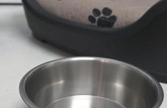 Exotic Tropical Palace - ComfyHome Apartments Stuttgart - Foto 63