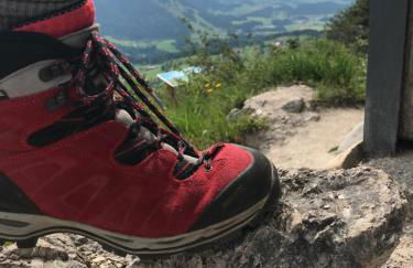 Ferienwohnung Winklblick - Foto 34