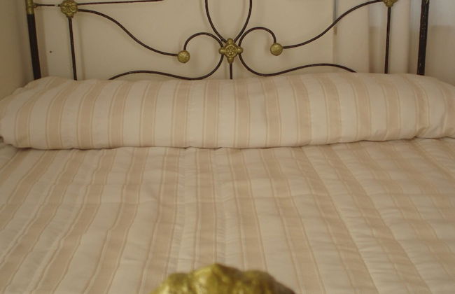 Villa Oasis - Foto 3