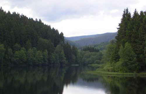Ferienwohnung im Harz-Haus-Bruns - Foto 67