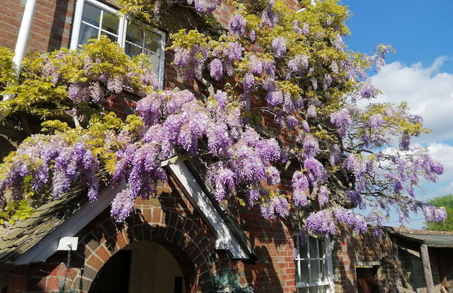 Bridge Farmhouse - Foto 59