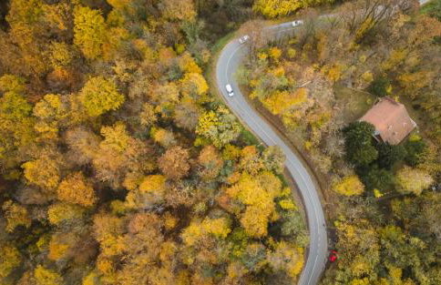 Old Chestnut Vacation Home - Foto 62