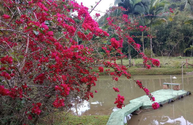 Sitio Libardo - Nova Trento - SC - Foto 76