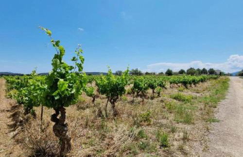 Villa With Pool & Views - Foto 66