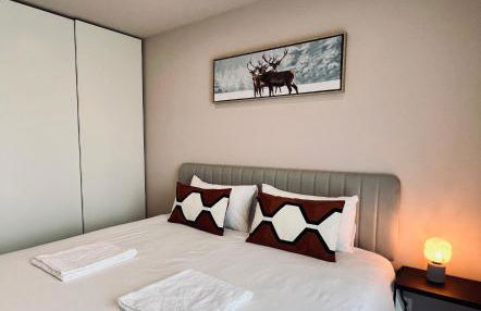 les colibris - Foto 11