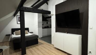 Modernes Loft am Dreiländereck - Photo 2