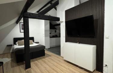 Modernes Loft am Dreiländereck - Foto 2