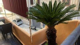 Fiorentini Apartment 2 complete house x 4 & 4 people - Foto 4