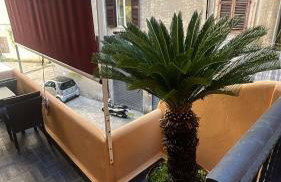 Fiorentini Apartment 2 complete house x 4 & 4 people - Foto 4