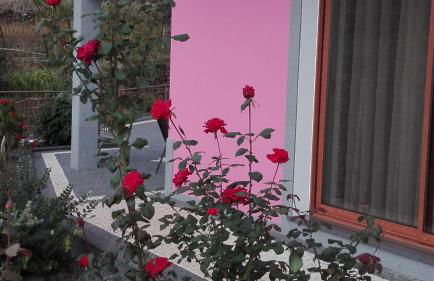 Vivenda da Natureza - Foto 56