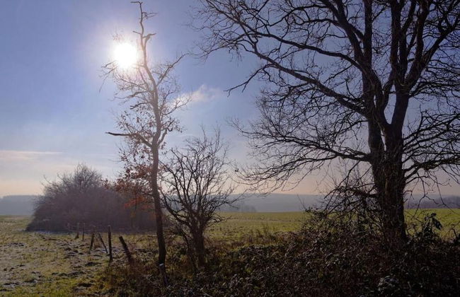 Holiday Home in Noiseux With Private Hot Tub - Foto 40