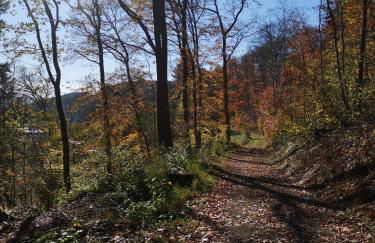 Ferienwohnung in Waldrandlage in Nationalpark Schleiden / Eifel - Foto 69