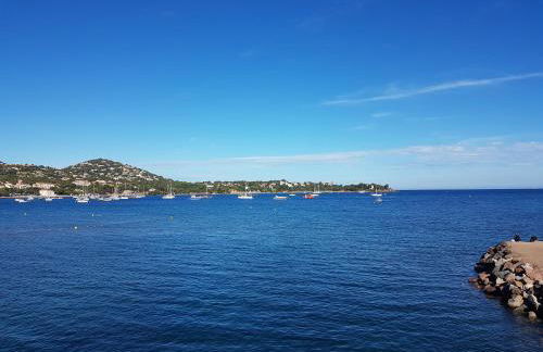 Grand T3 - Terrasse les pieds dans l'eau - Climatisation - Foto 21