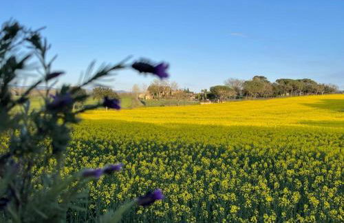 Más Figueres - Foto 56