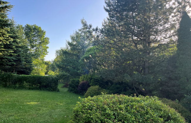 Kierlikówka - Foto 8