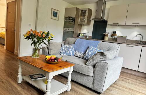 Oystercatcher, Pityme - Foto 7