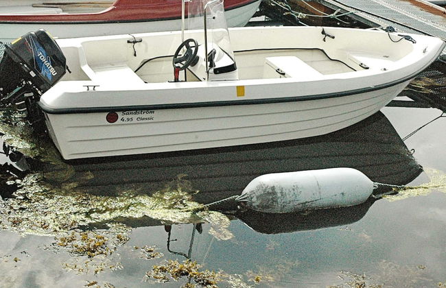 11 Person Holiday Home in Farstad - Foto 45