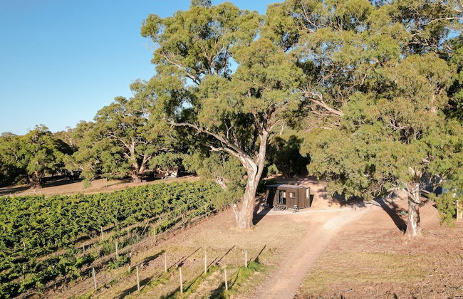 CABN McLaren Vale - Foto 13