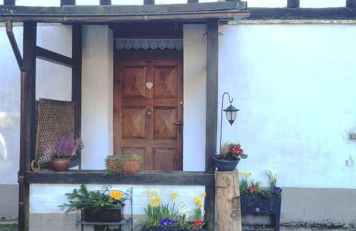 Erholung im Bergischen Land - Foto 7