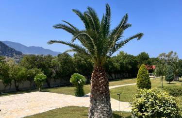 Psatha Villa's - Foto 22