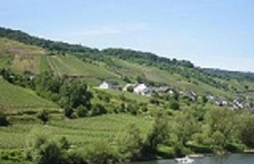 Zwei Ferienwohnungen "Im Weingarten " - Foto 31