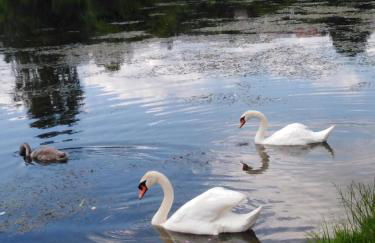 Ferienwohnung mit kleinem Garten - Foto 76