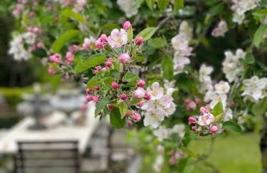 Bahnhof Vaale- Gleis 3 - Foto 15