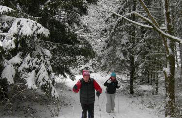 Nowe Guty Fun - Foto 55