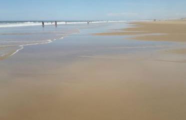 Palm Appart - Foto 8