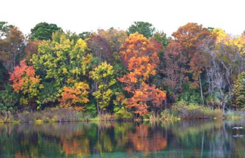 Cottage 8 Salt Springs resort - Foto 23