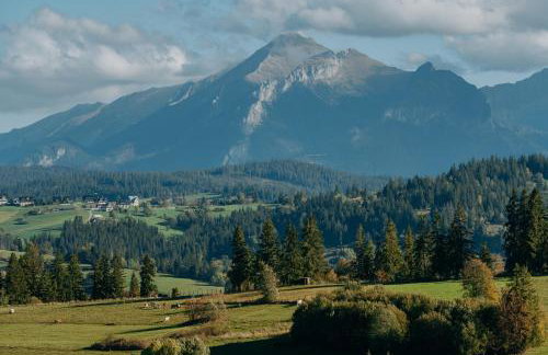 Chałpy Holiday - Foto 53