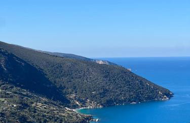 Azure Horizon - Panoramic Myrtos Sea View Apartment - Foto 11