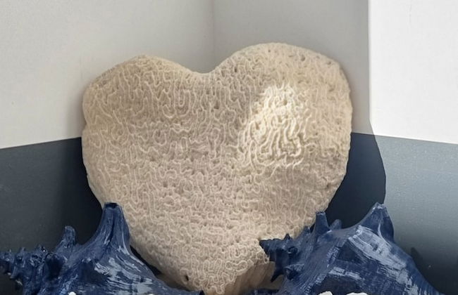 Kas Azul - Water front with private pool - Foto 24