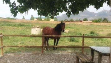 Casa Justo - Foto 3, Garden view