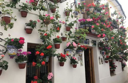 Geysotur Puerta de la Axerquía Parking Gratis - Foto 10