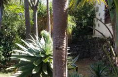 La Casita de la Vega - Foto 74