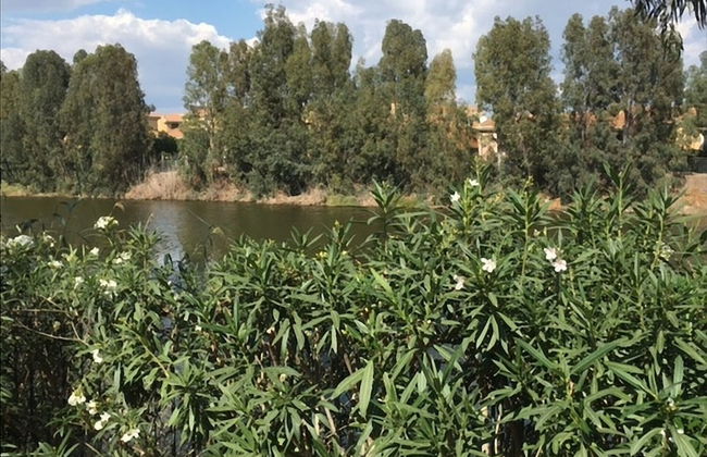 Portion of a Villa Near the sea - Foto 25